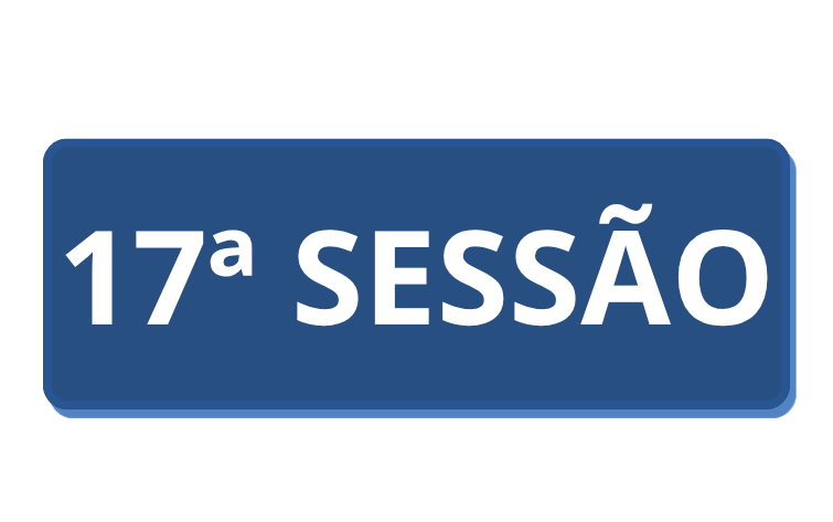 BOTTOM - 17ª SESSÃO.png