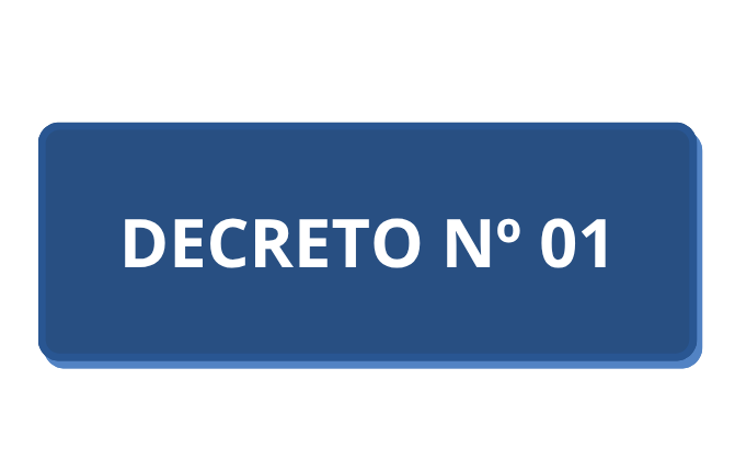 DECRETO Nº01.png