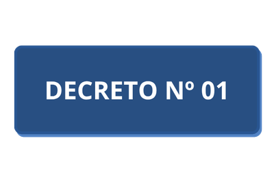 DECRETO Nº01.png