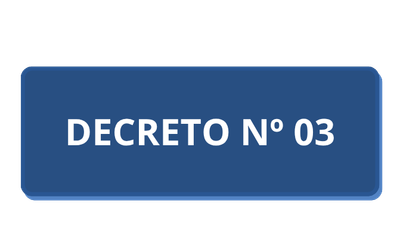 DECRETO Nº03.png
