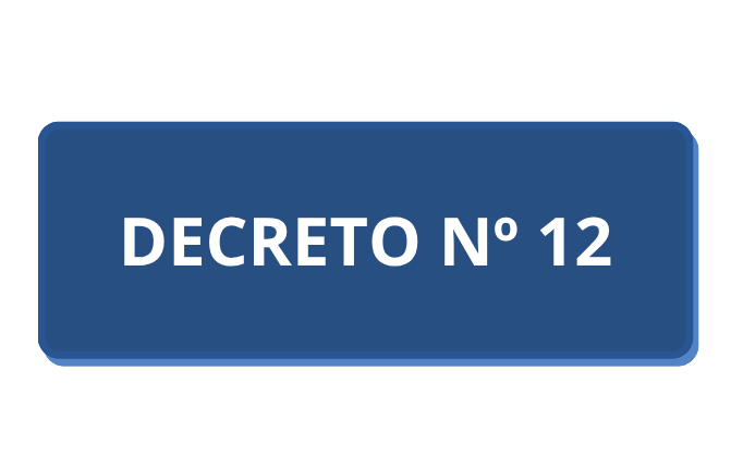 DECRETO Nº12.png