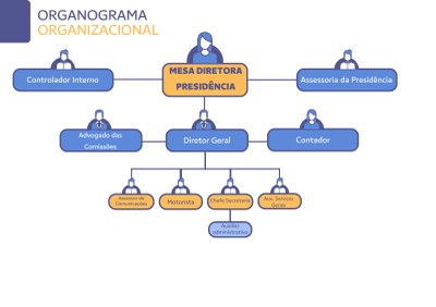 Estrutura Organizacional